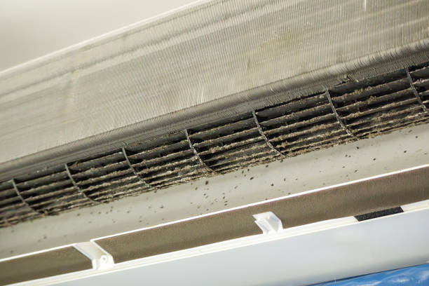 Best Air Duct Cleaning Near Me  in Ridgely, MD